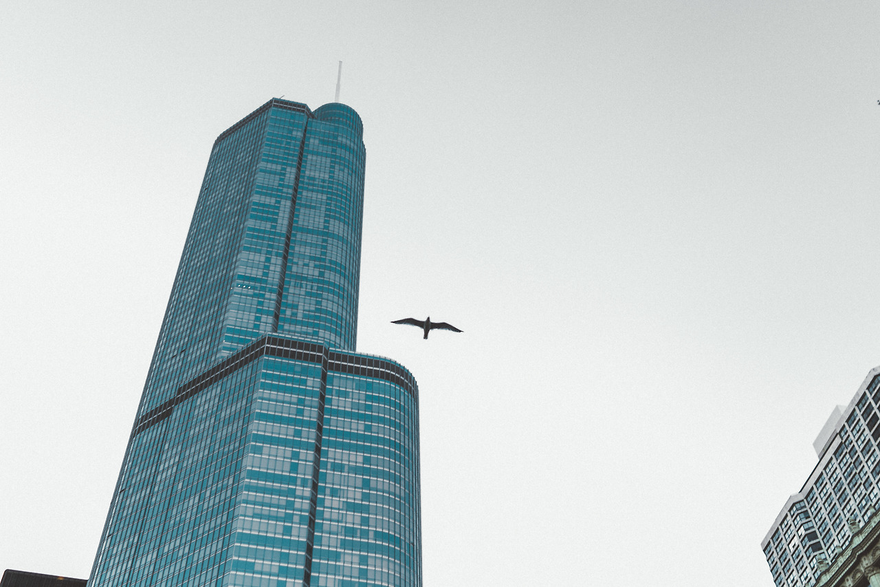 d15-16 (37 of 46).jpg