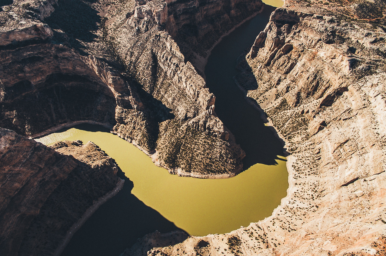 Day 36-50 (129 of 316).jpg