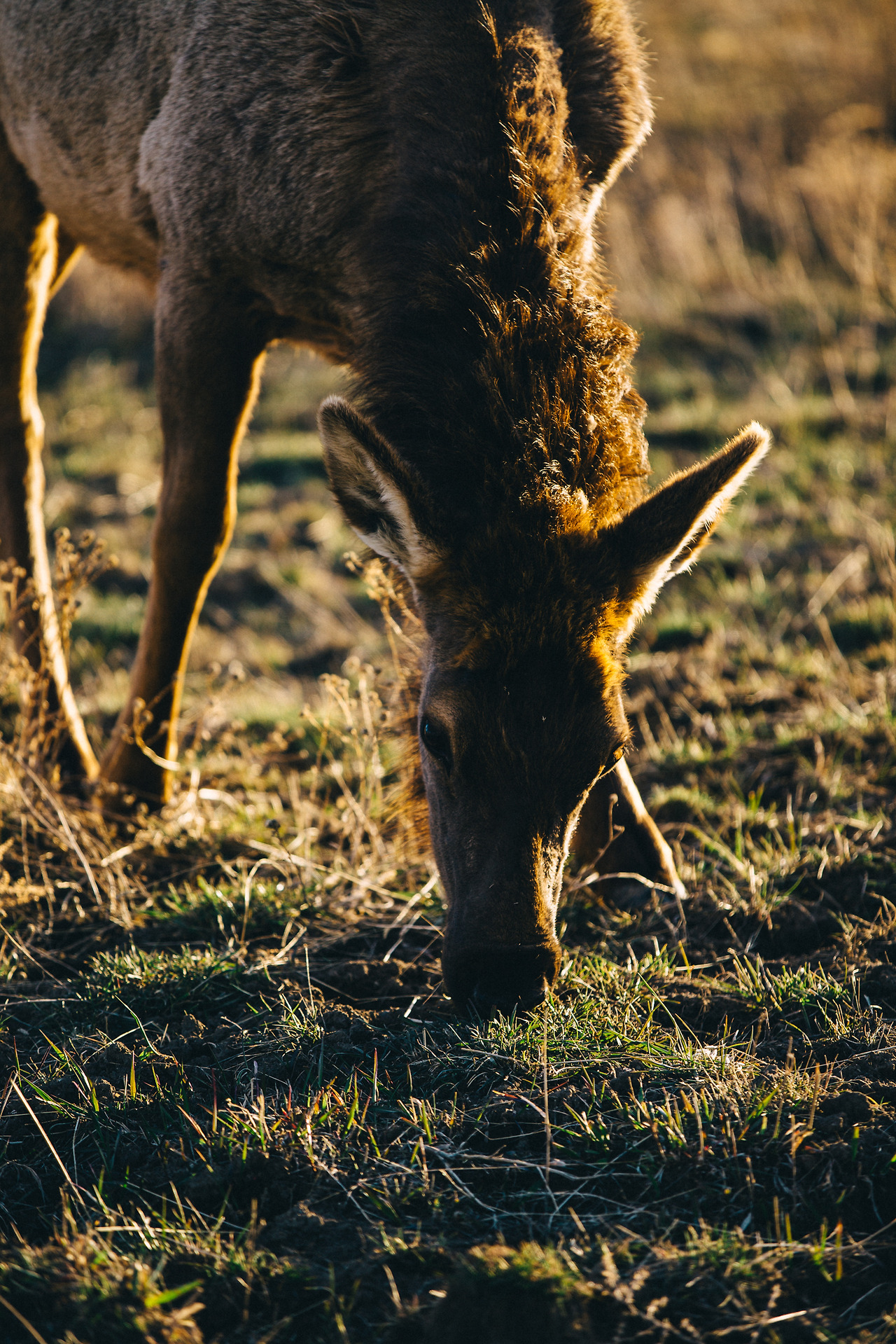 Day 24-35 (592 of 672).jpg