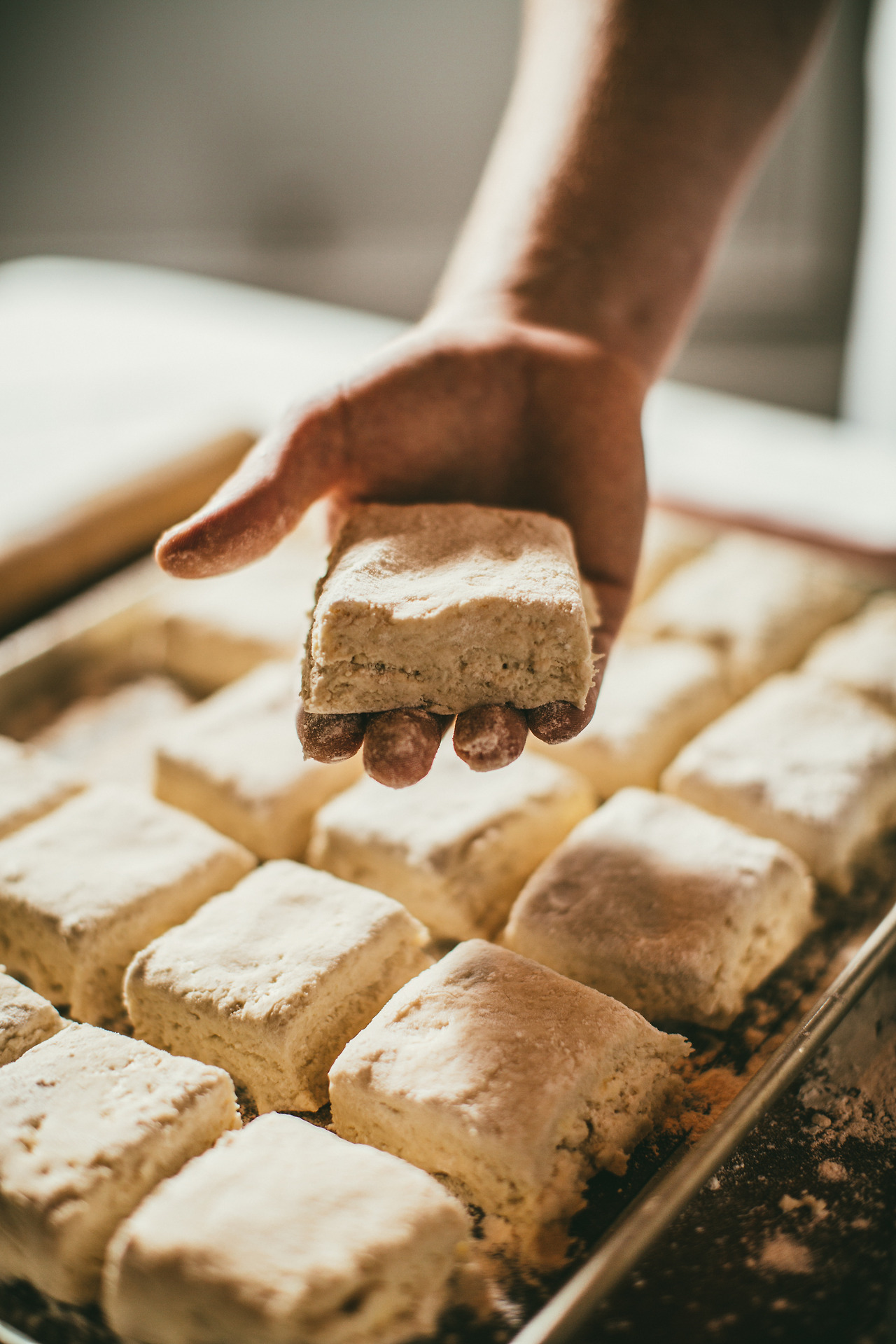 비스켓 (39 of 76).jpg