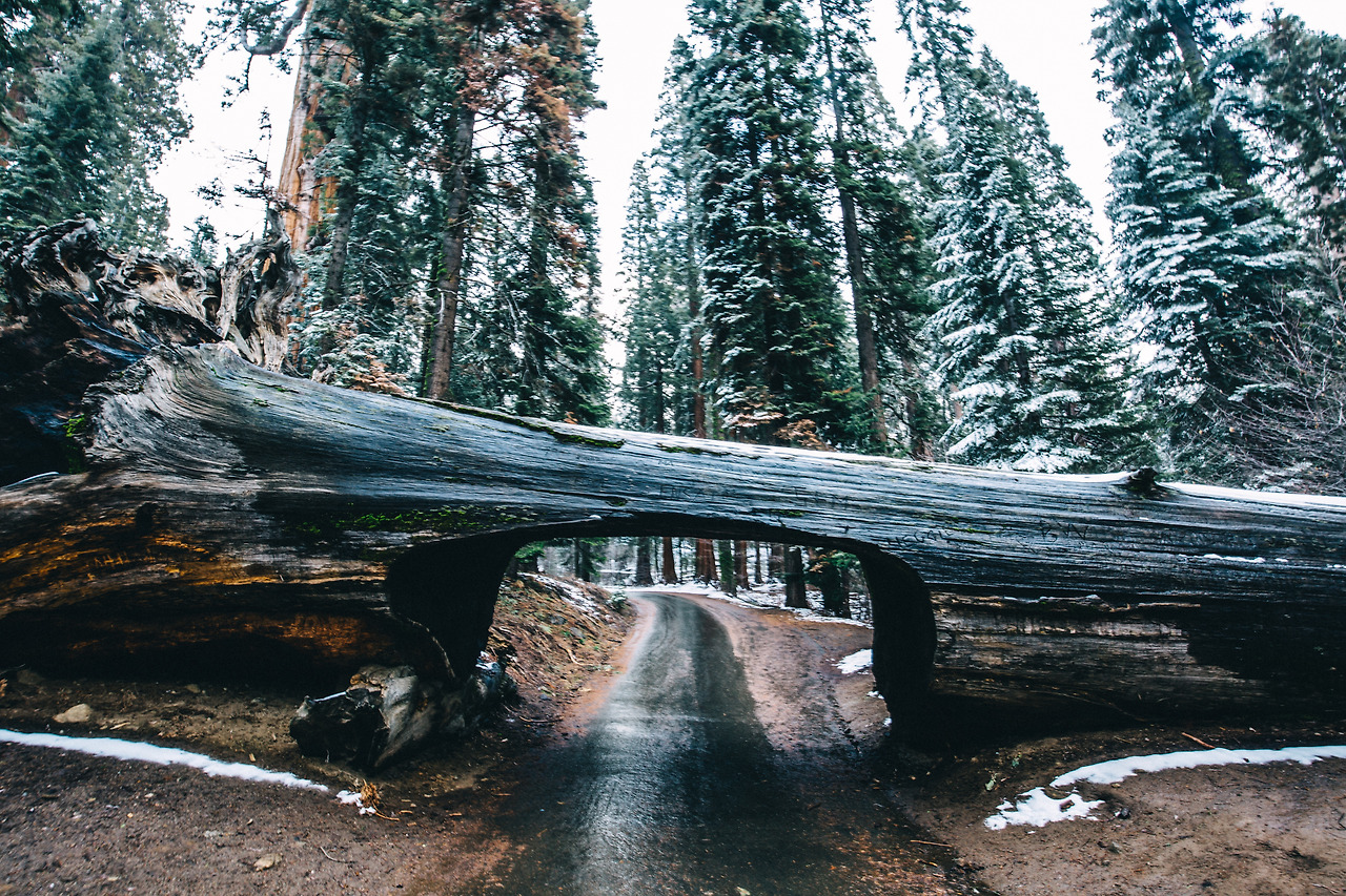 Day 16-23 (349 of 546).jpg