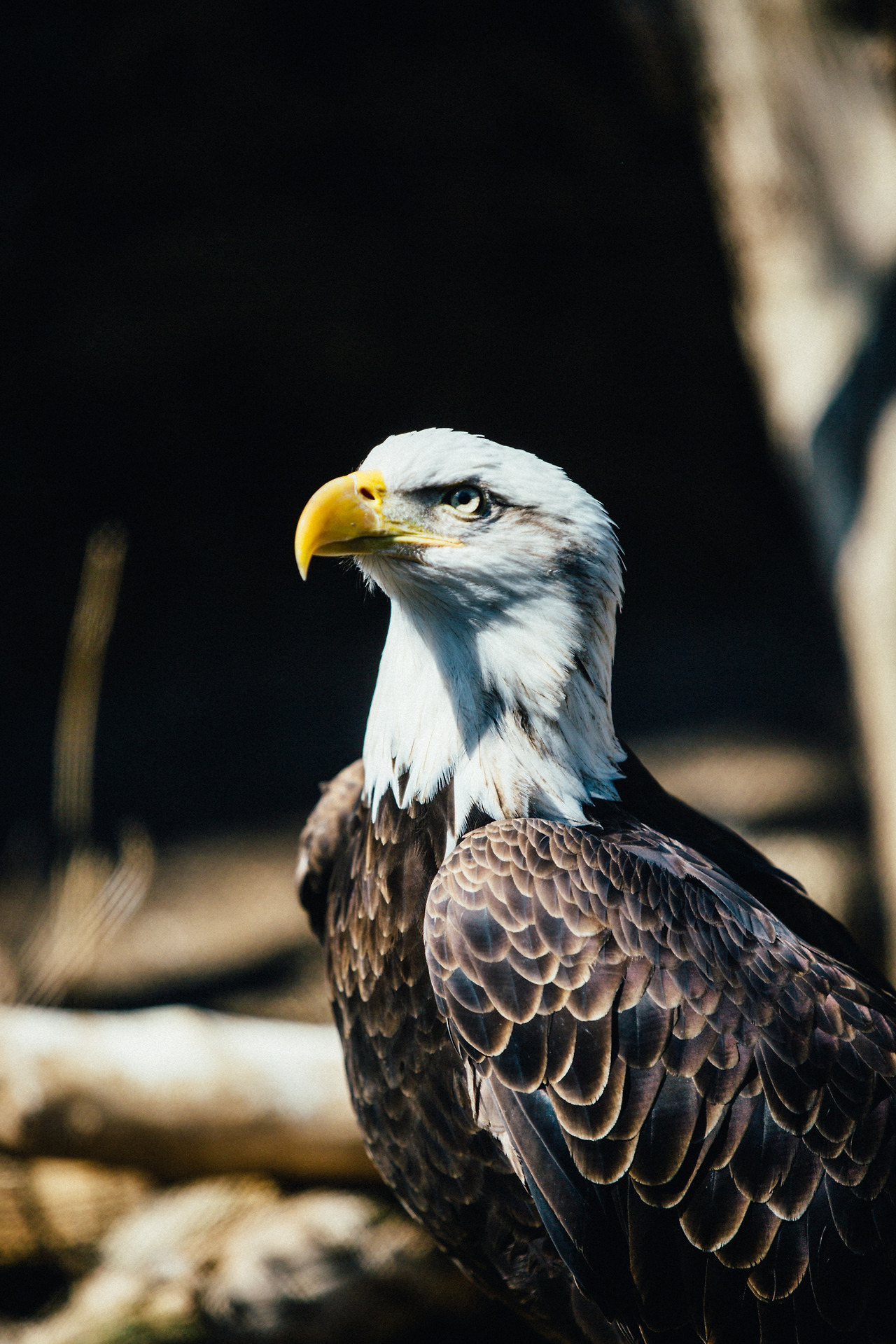 Day 36-50 (237 of 316).jpg