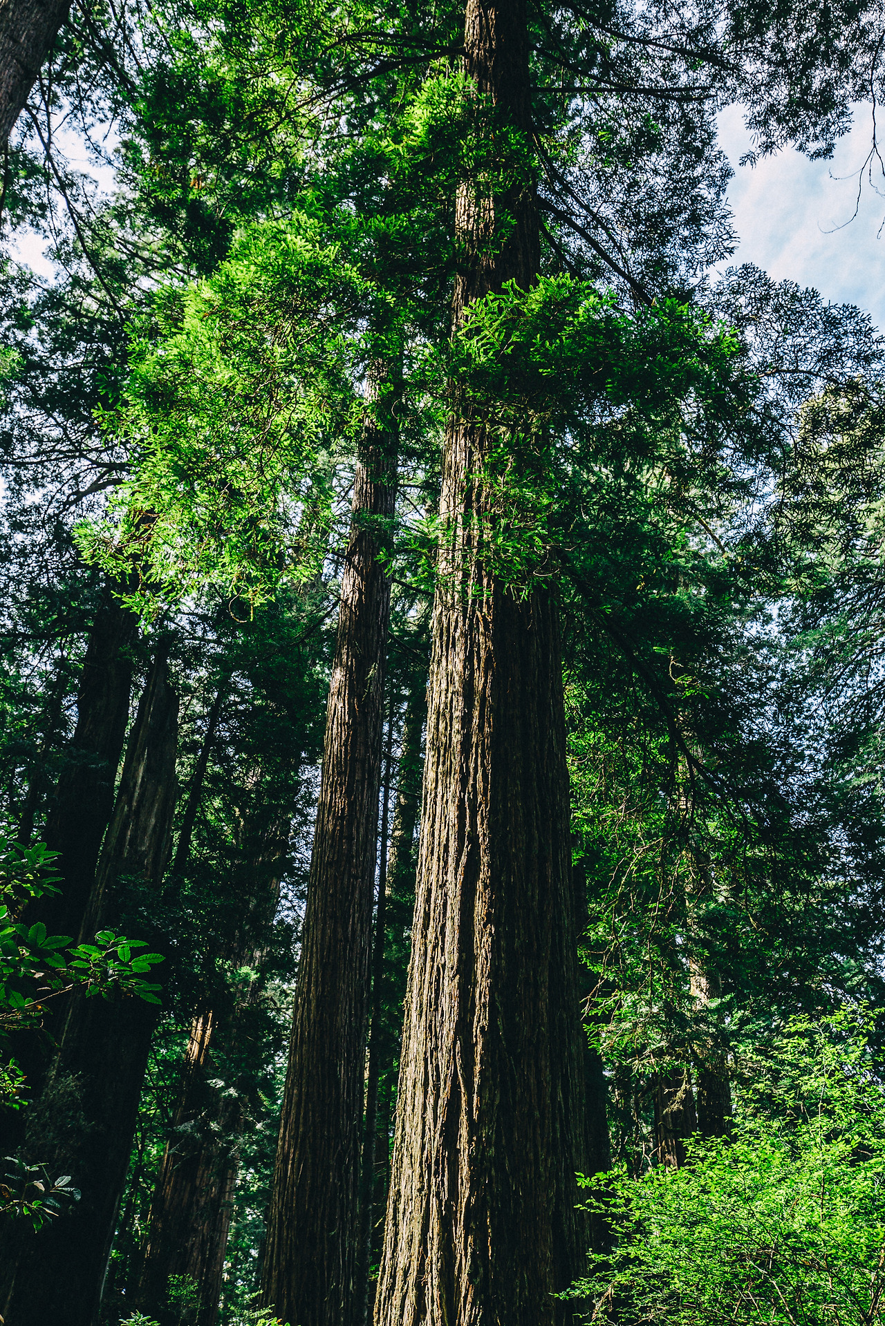 Day 24-35 (120 of 672).jpg