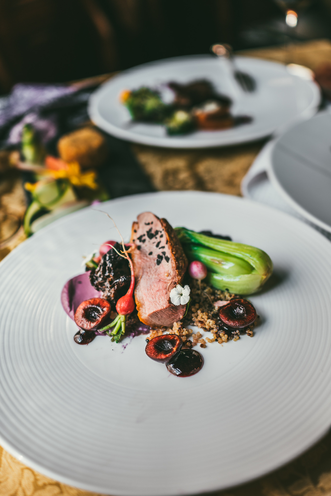 web Rest (33 of 100).jpg