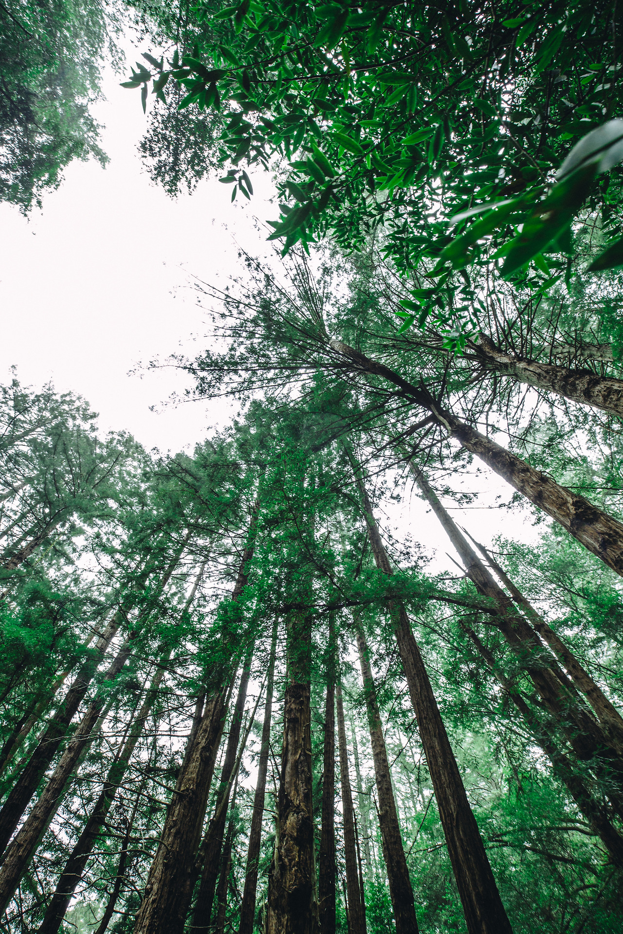 Day 16-23 (33 of 546).jpg