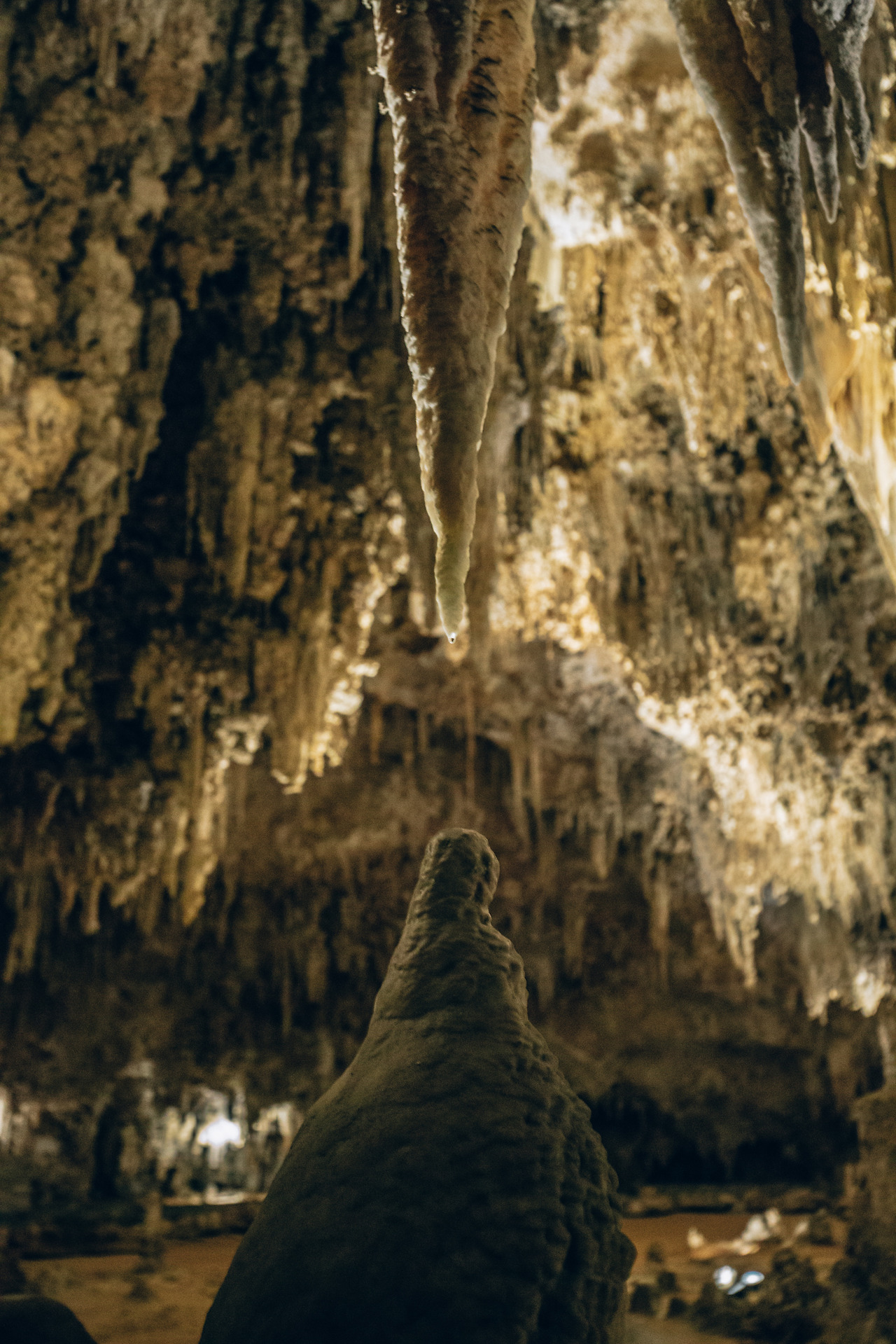 Day 6-8 (47 of 203).jpg