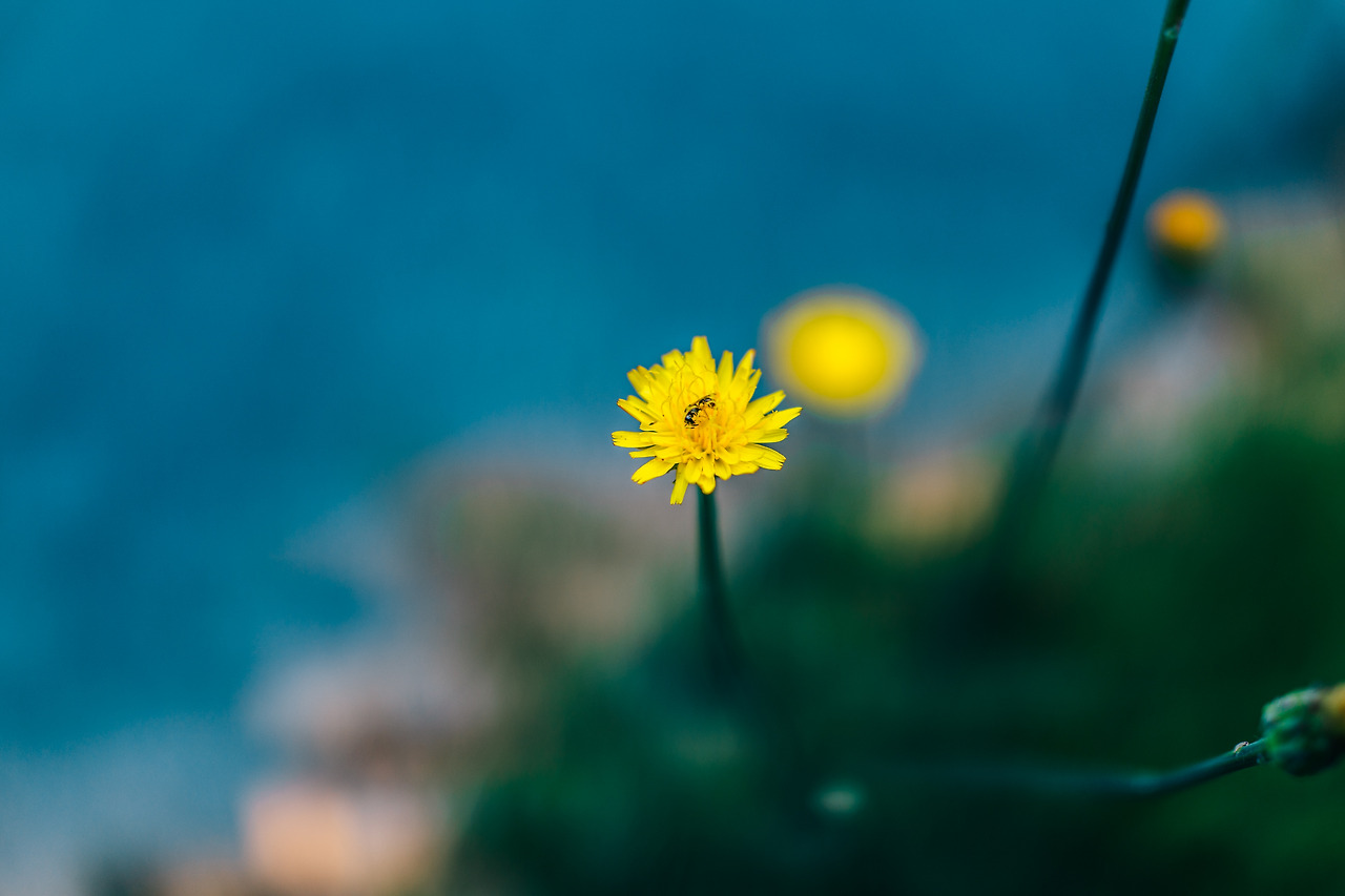 미술관 (49 of 76).jpg