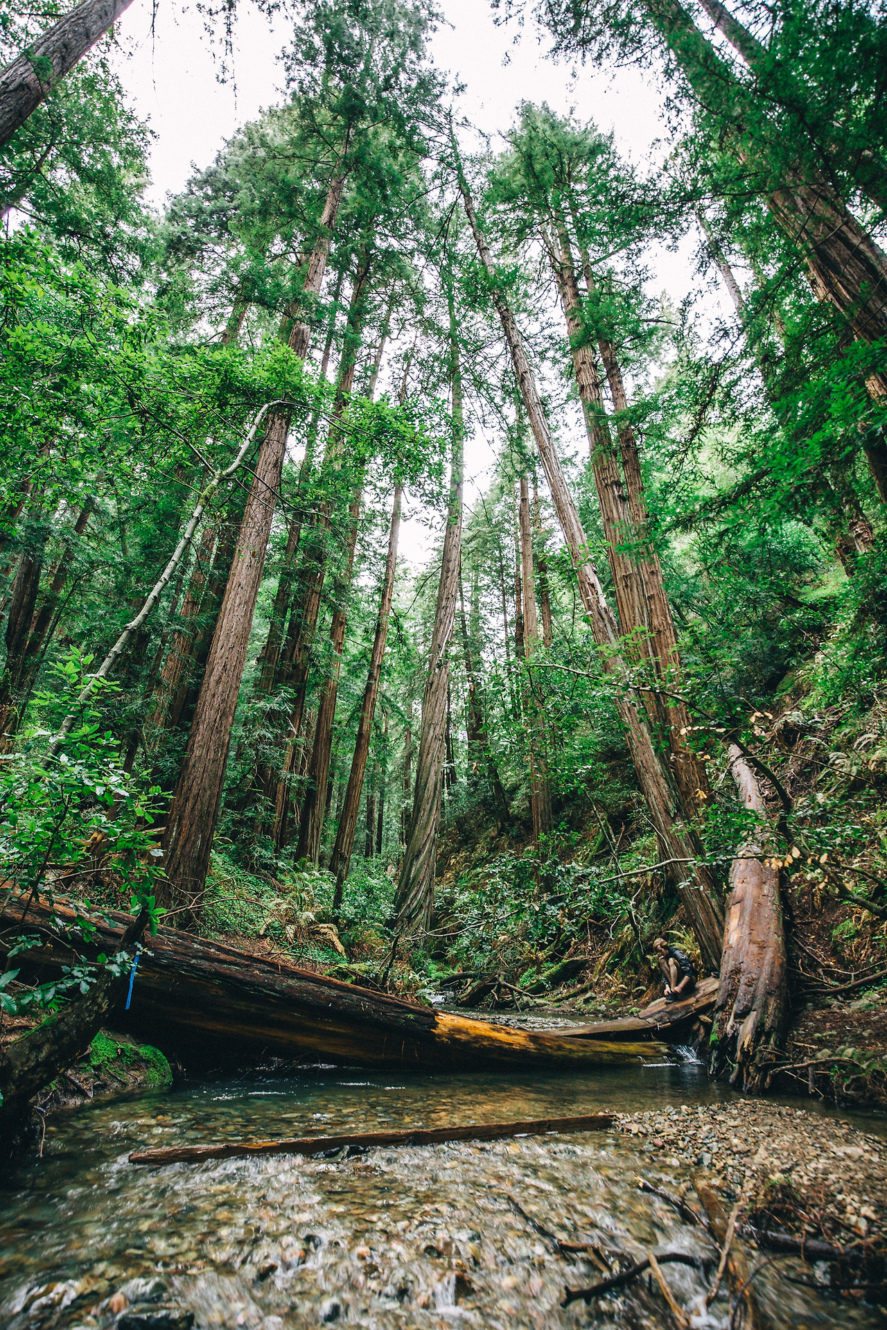 Day 16-23 (73 of 546).jpg