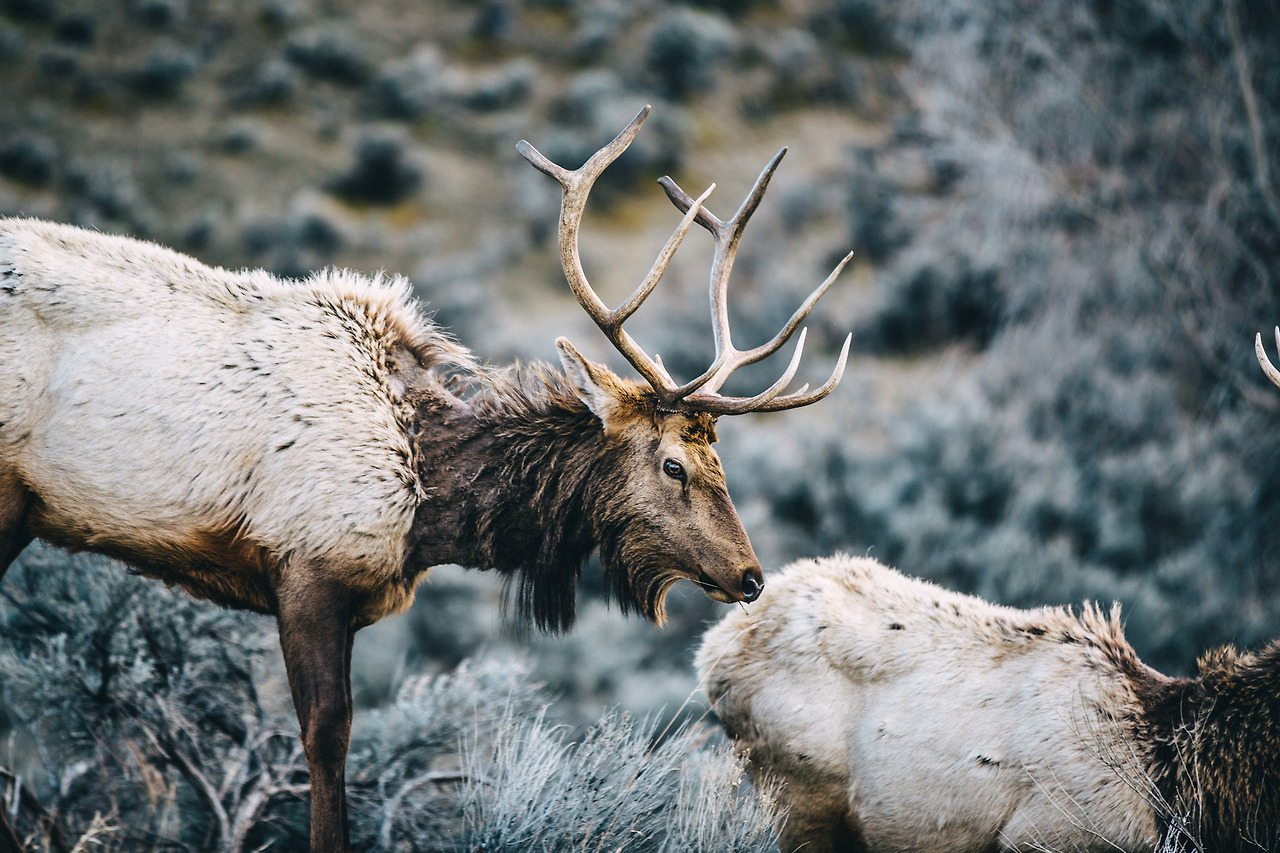 Day 24-35 (598 of 672).jpg