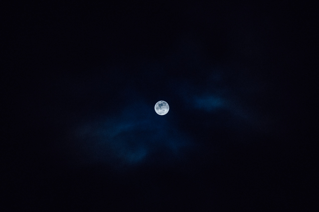 Day 16-23 (380 of 546).jpg