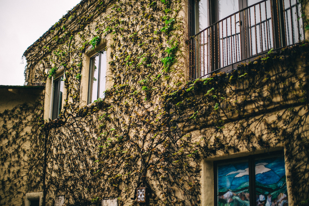 Day 16-23 (134 of 546).jpg