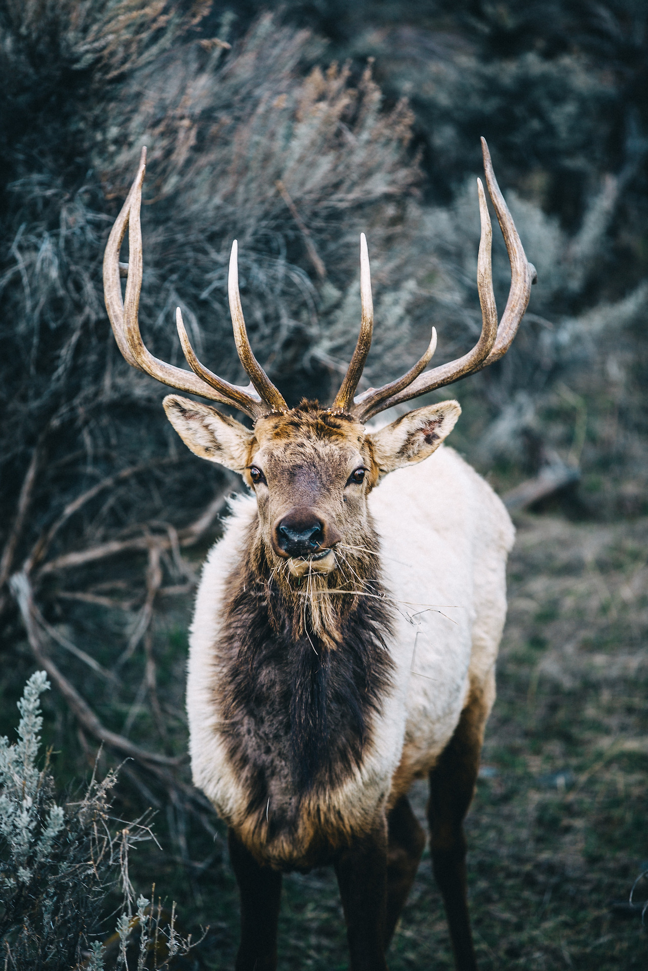 Day 24-35 (600 of 672).jpg