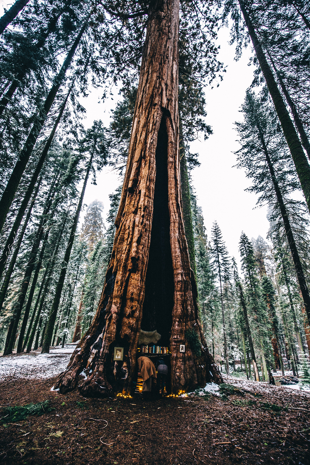 Day 16-23 (355 of 546).jpg