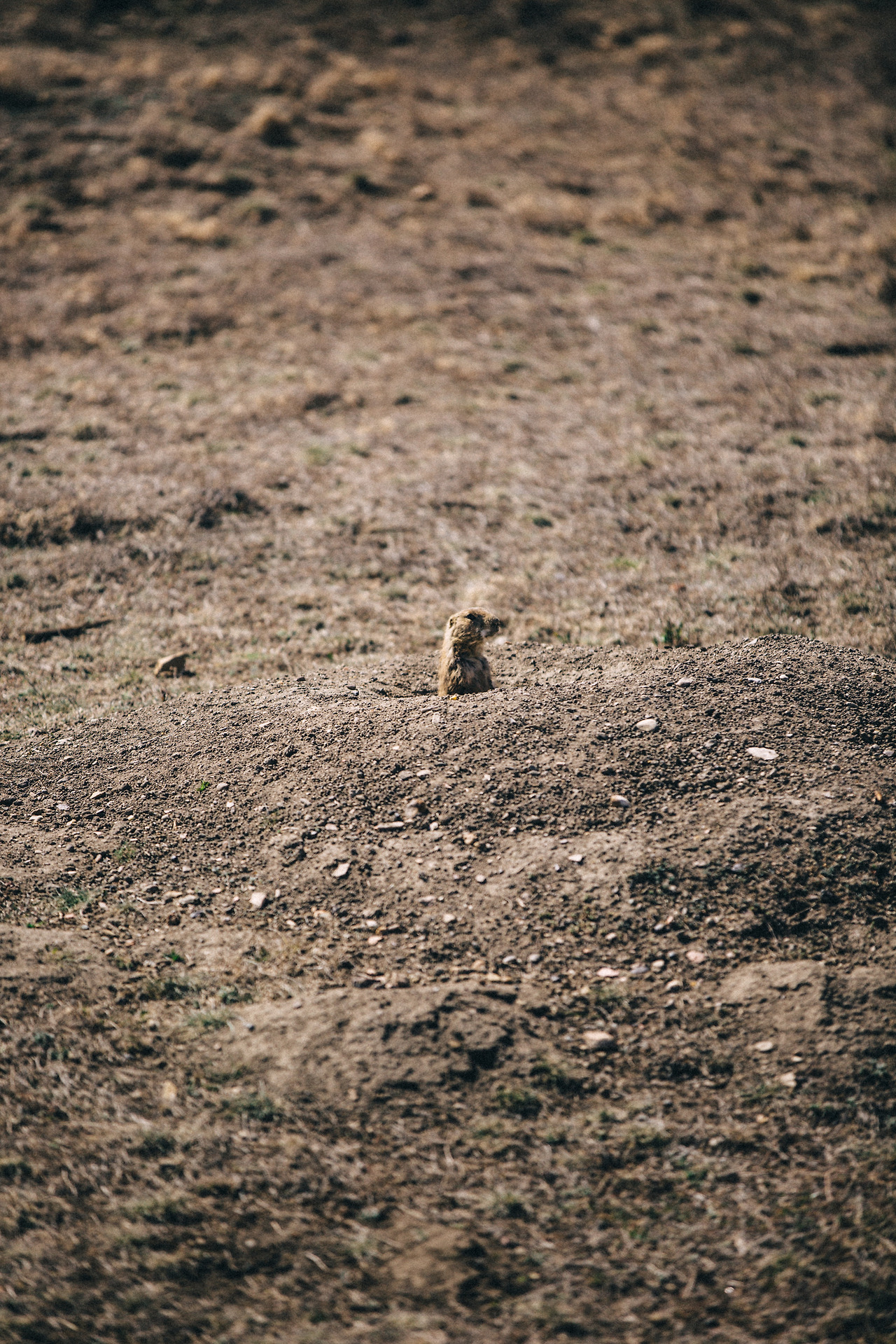 Day 36-50 (164 of 316).jpg