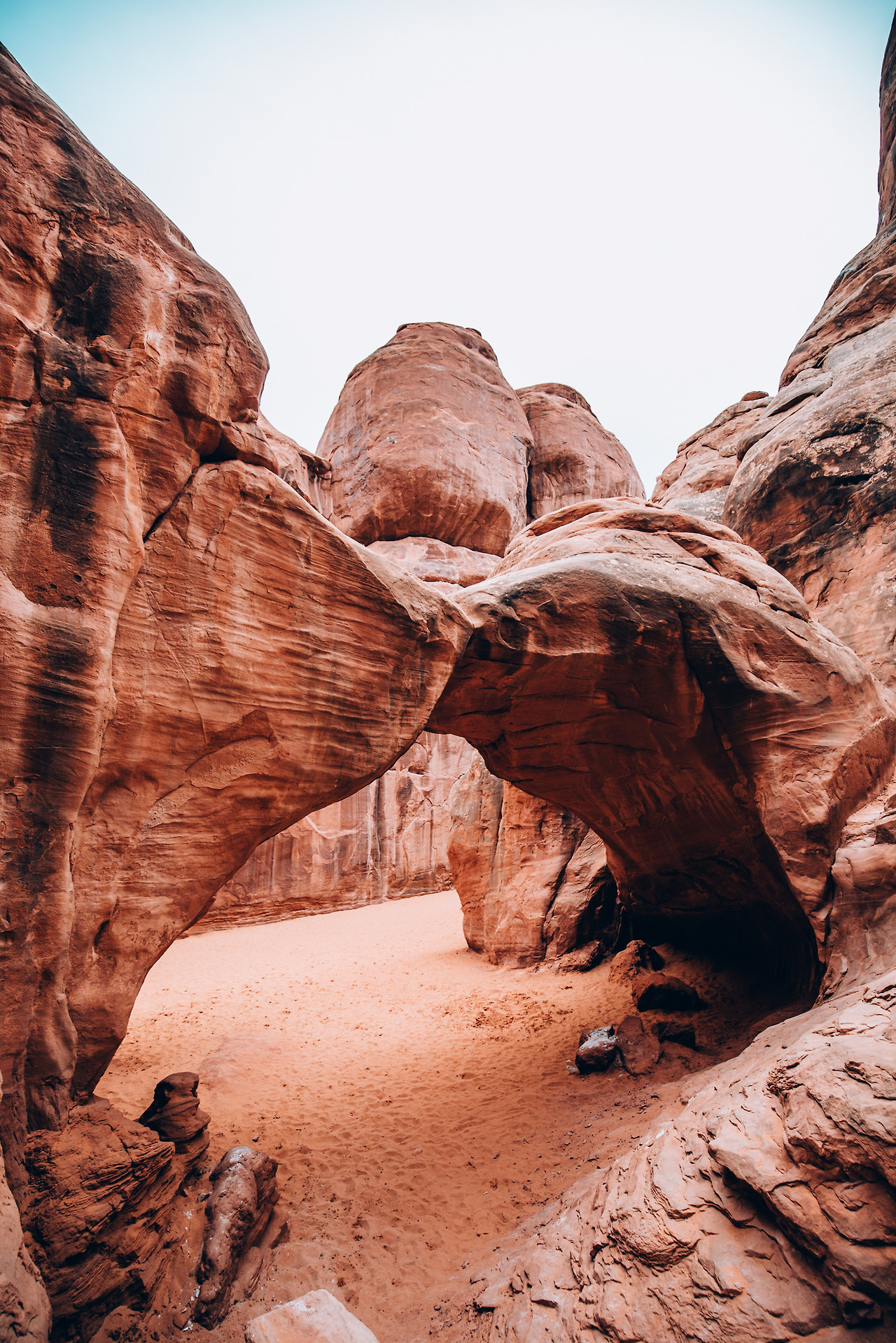 Day 9-15 (107 of 453).jpg