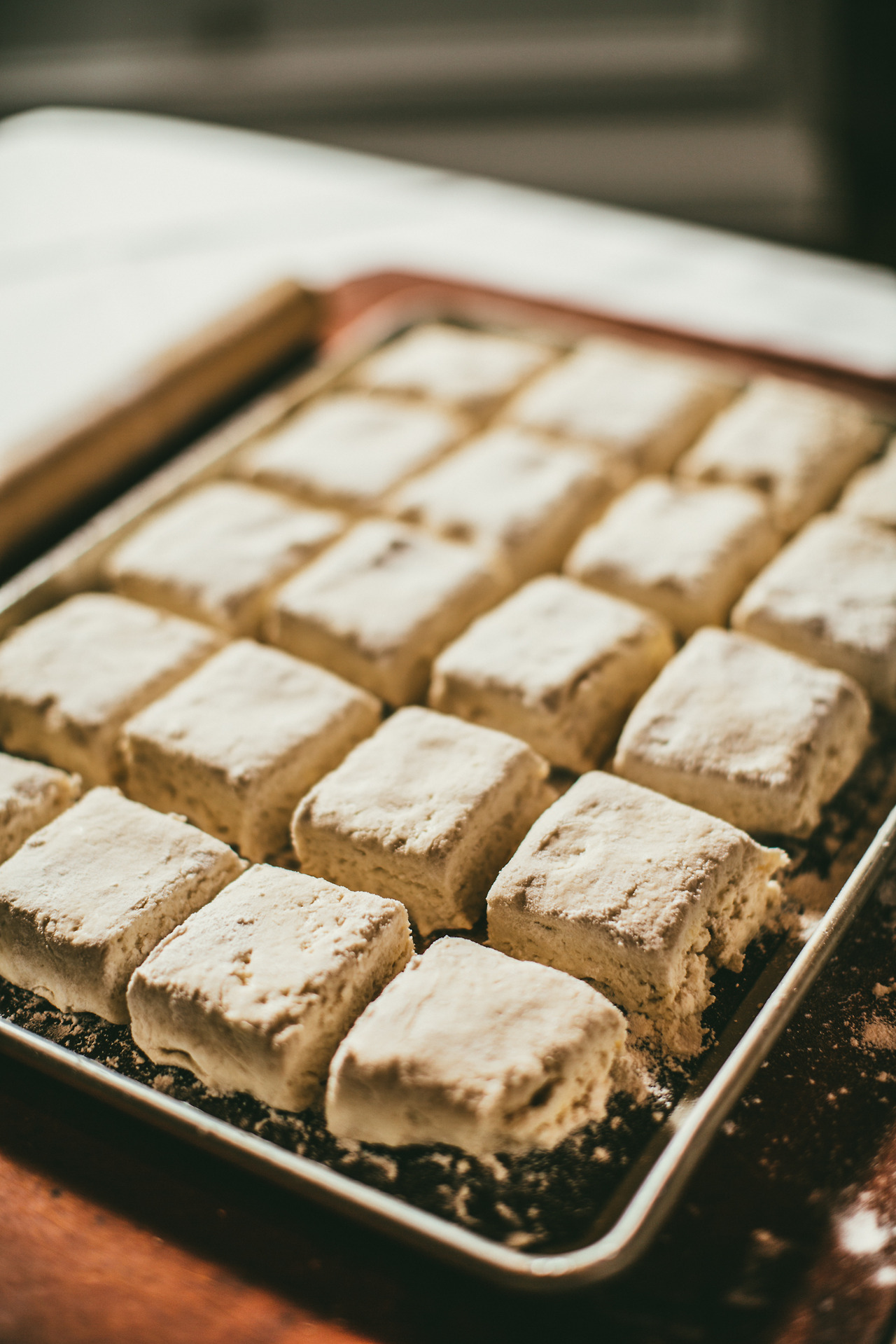 비스켓 (38 of 76).jpg