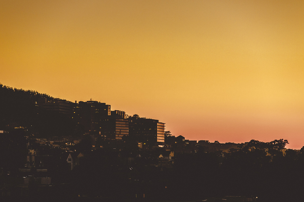 d26 (101 of 122).jpg