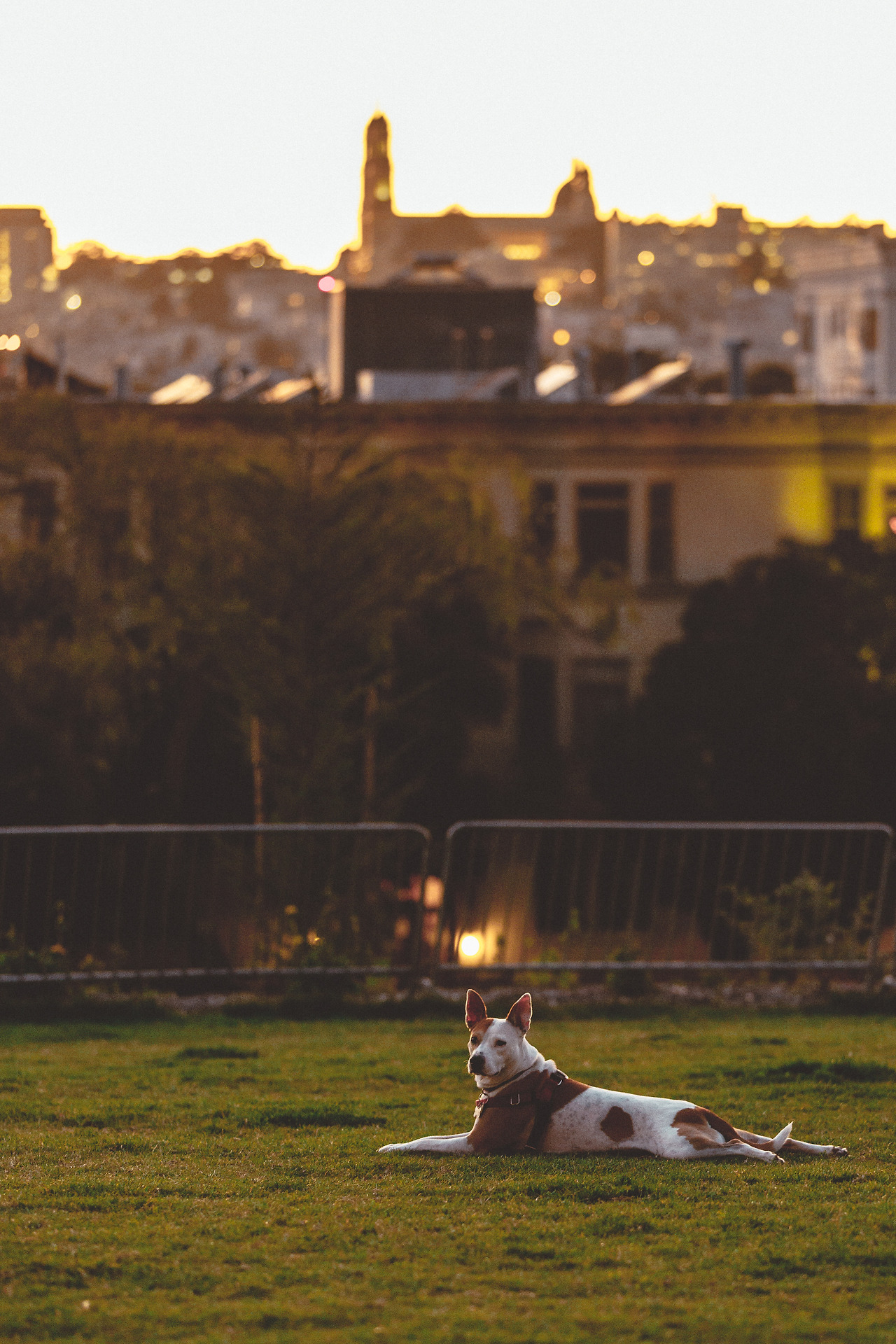 d26 (107 of 122).jpg