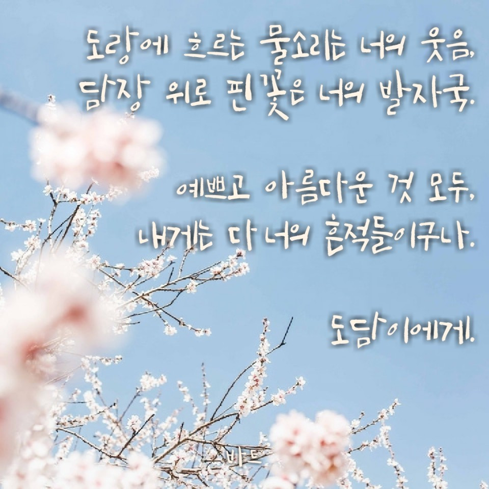 출산 축하_도담이.jpg