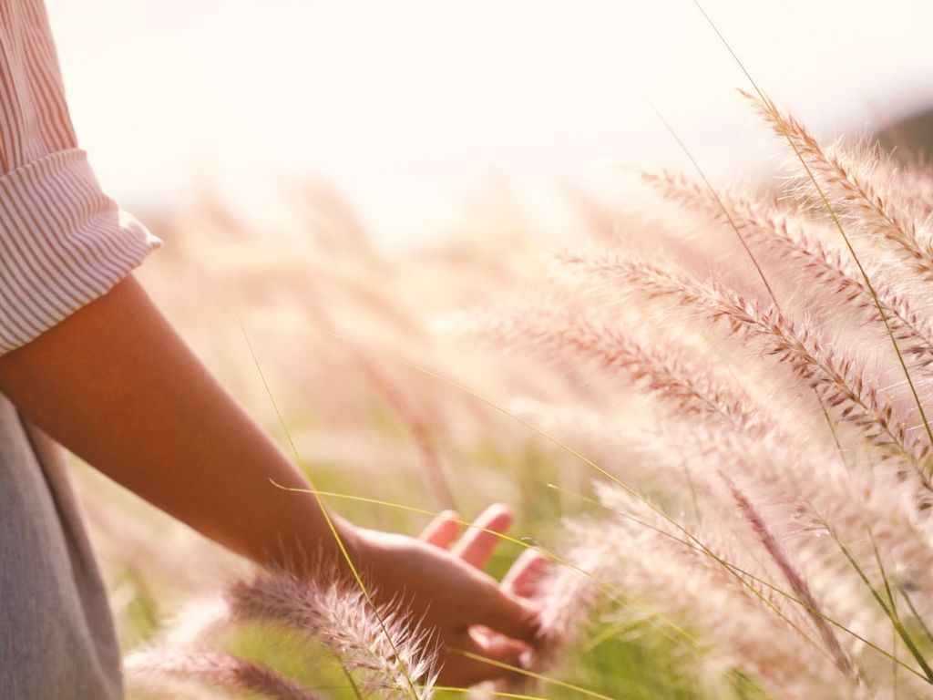 제목 없는 디자인.jpg