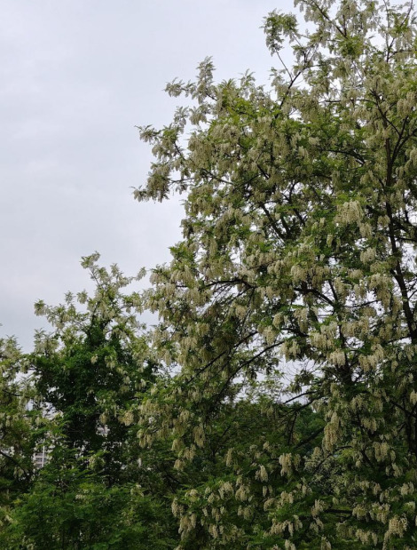 2019-05-19 15.02.18.jpg