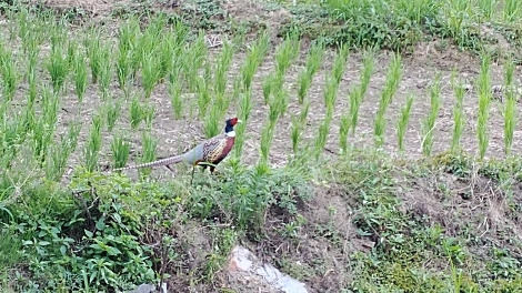 2019-06-23 16.02.39.jpg