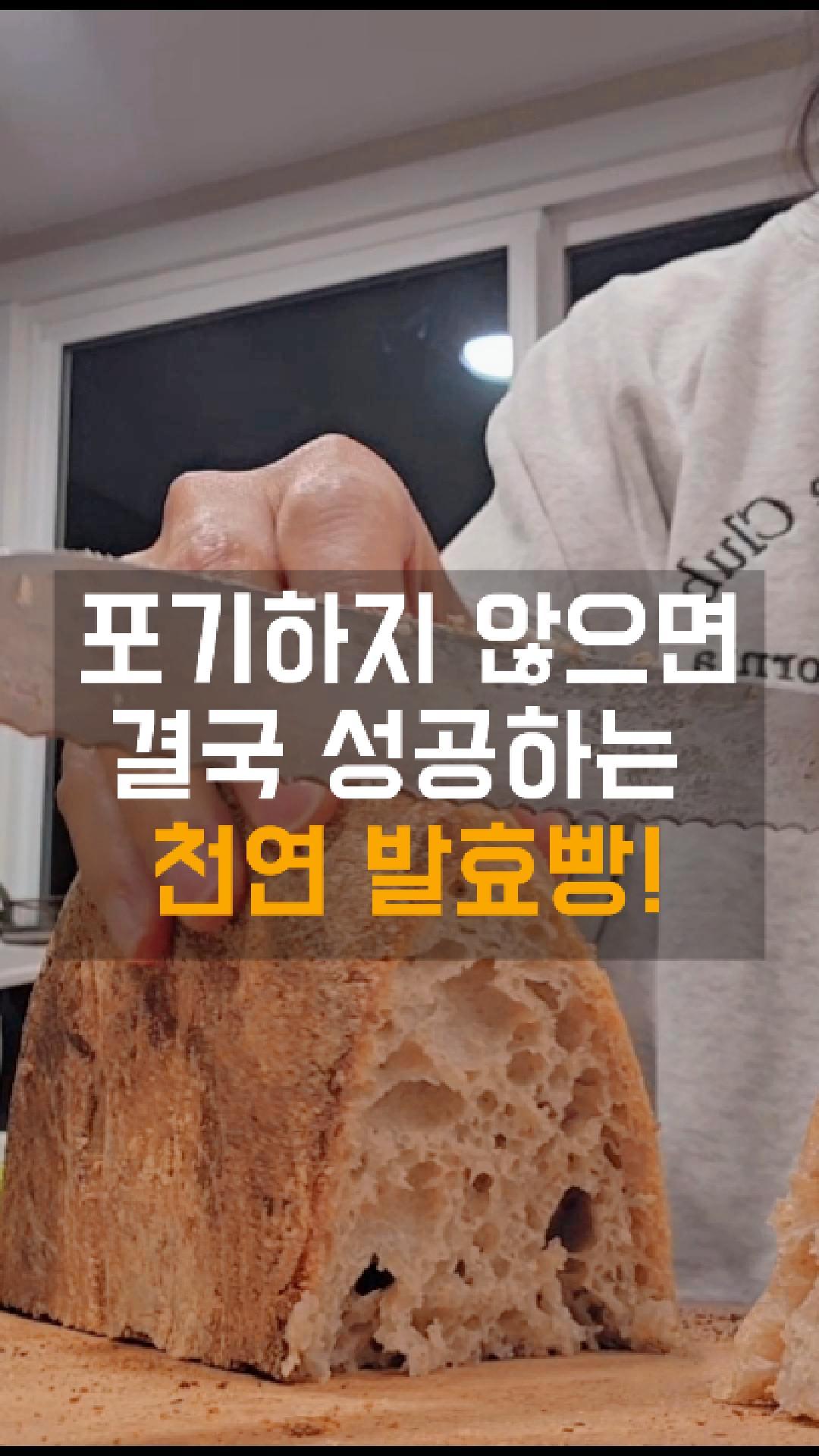 1124-04 (1)-Cover.jpg