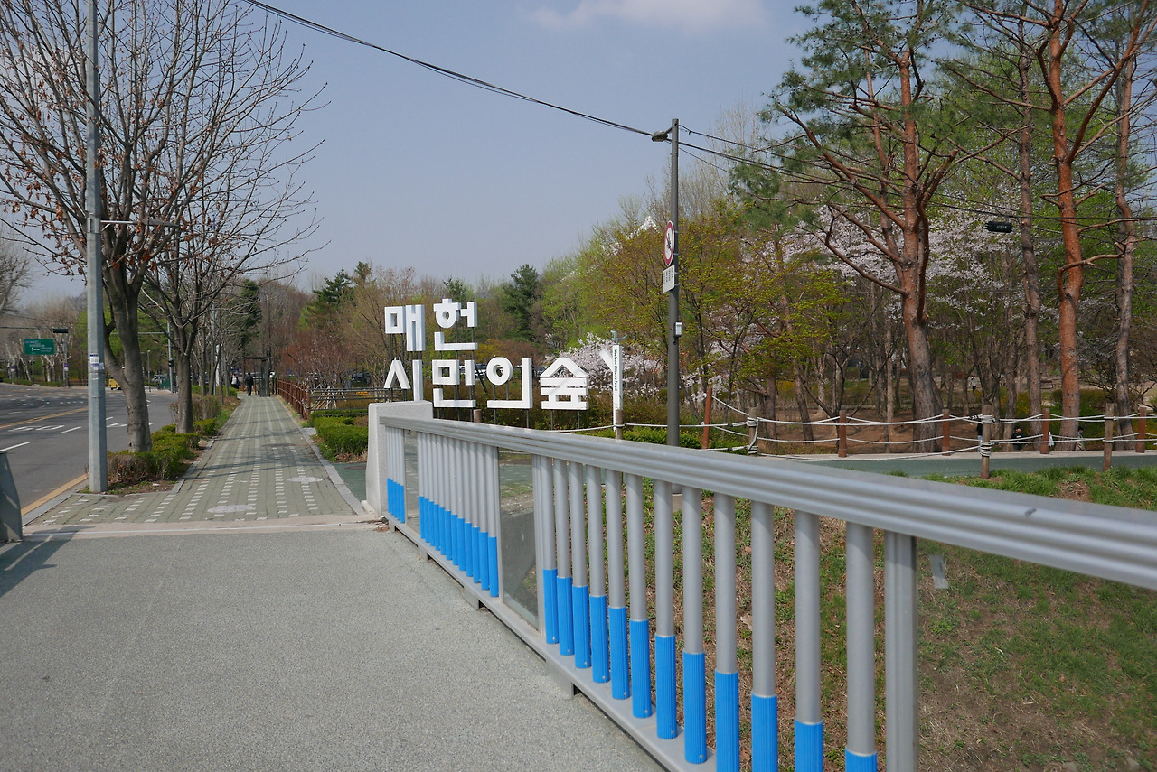 카지노 게임