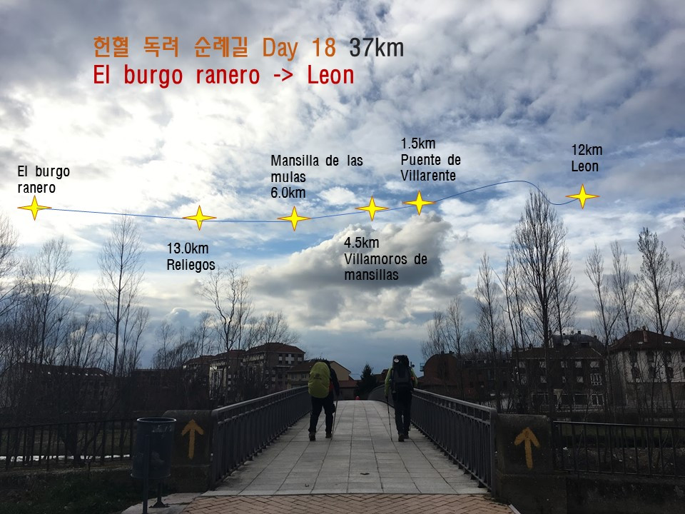 18일 레온 표지.jpg