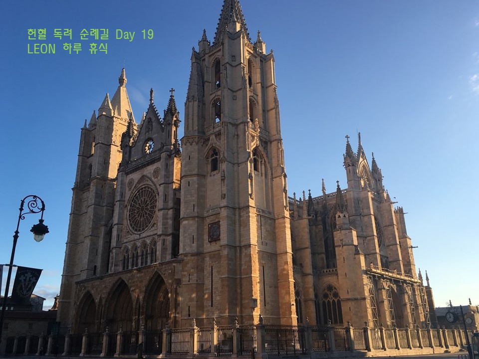 19번째 날 레온 휴식 표지.jpg