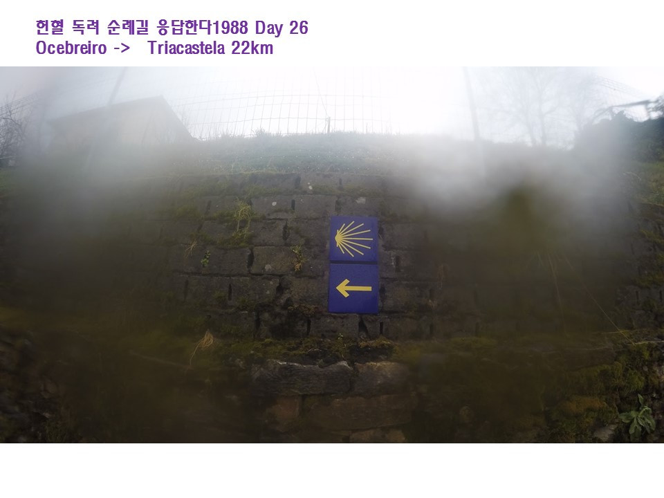 26번째 날 표지.jpg