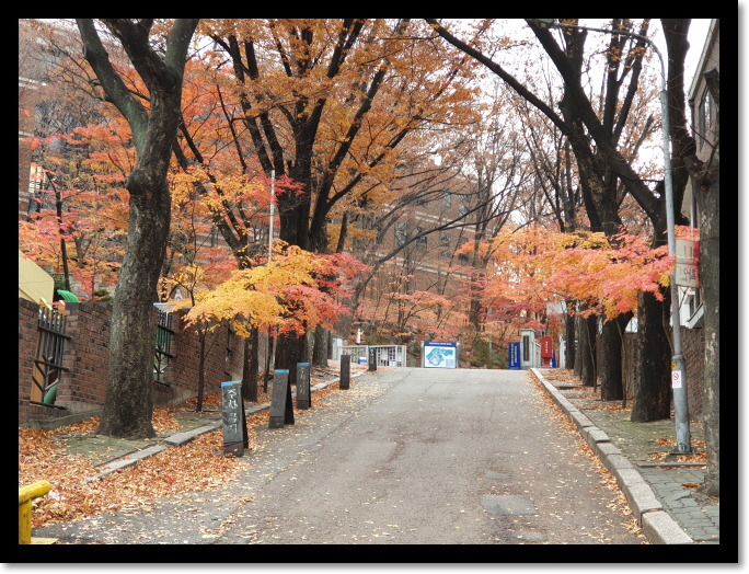 서울여행20191203_101238성심교정 가는길.jpg