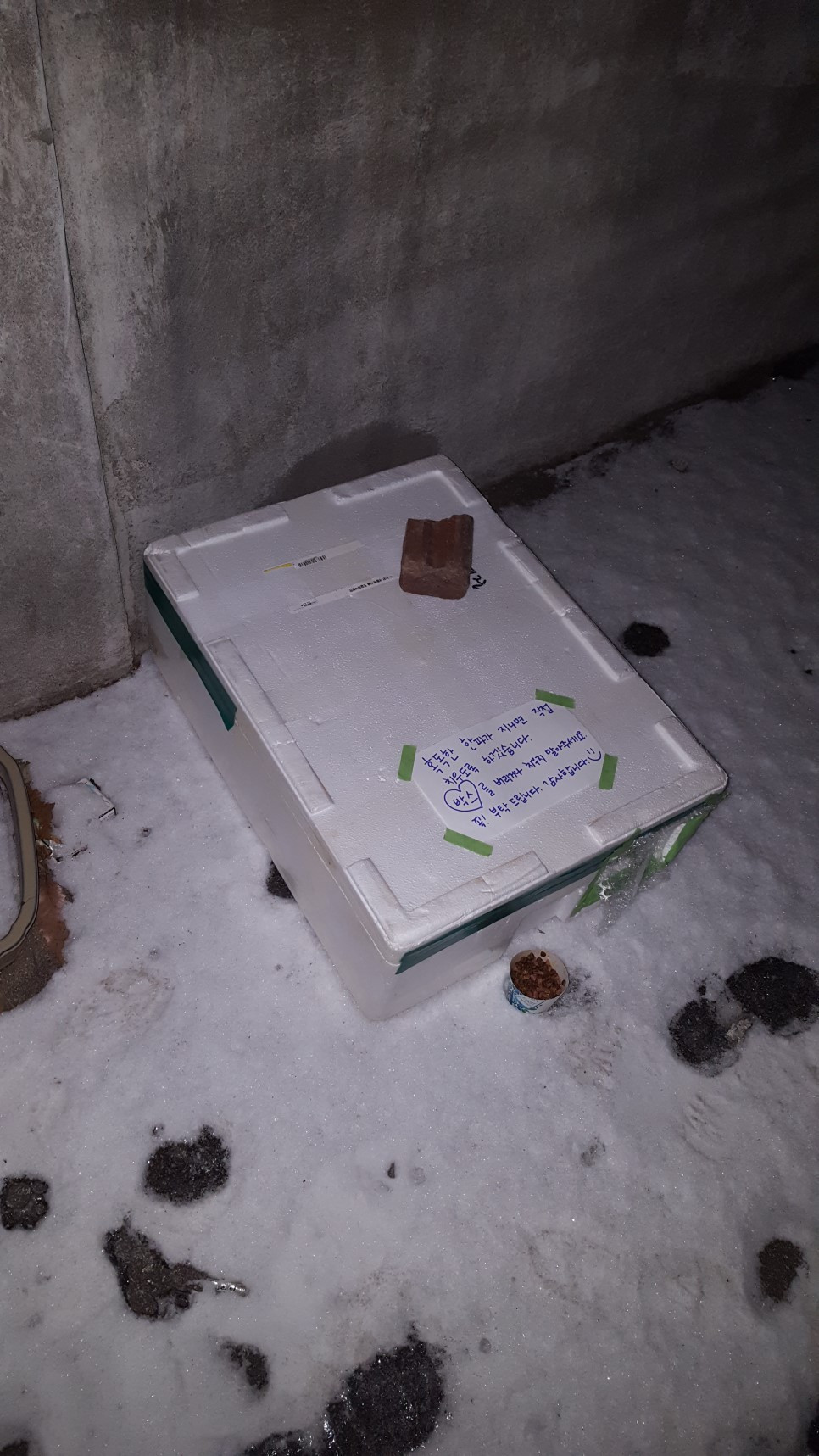20180125_223119.jpg