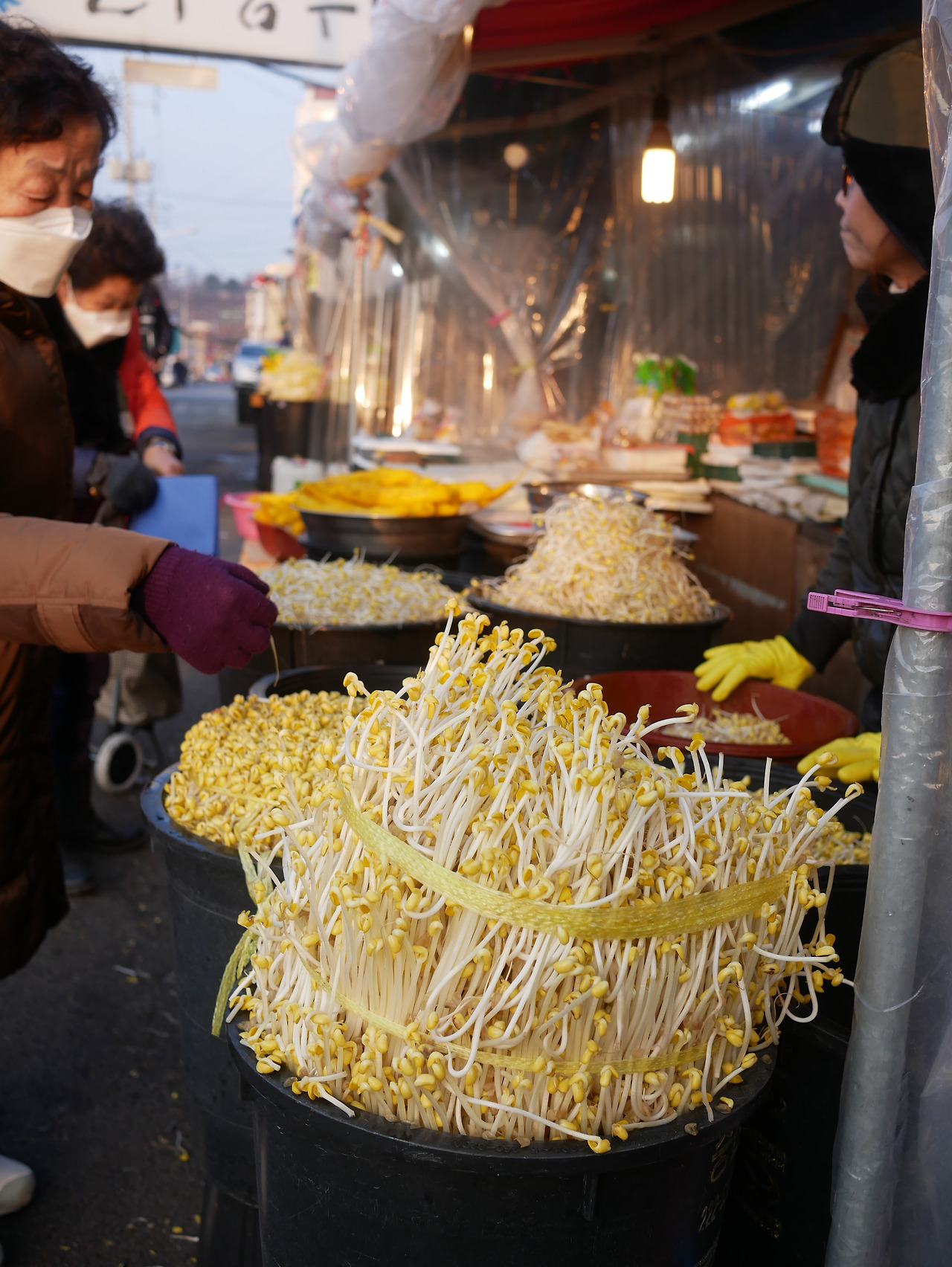 전주시장 콩나물.jpg