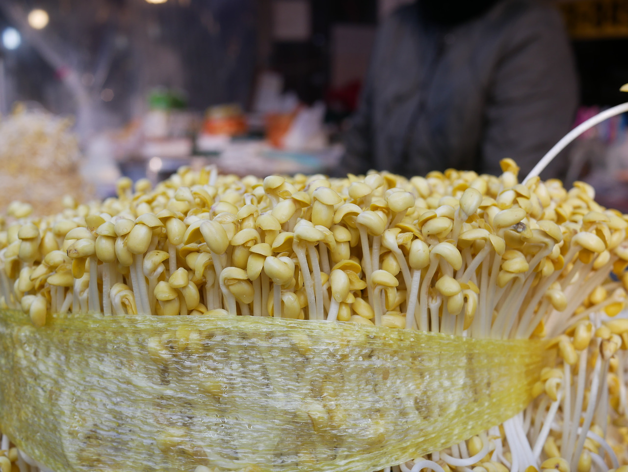 콩나물 측면샷.jpg