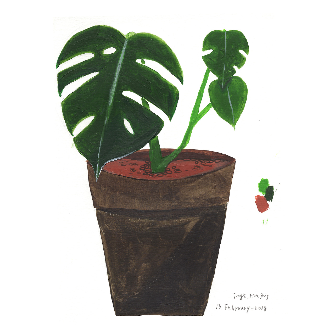 우리집 몬스테라.jpg