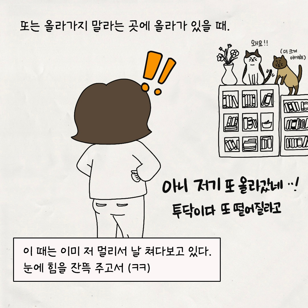 2 복사.jpg