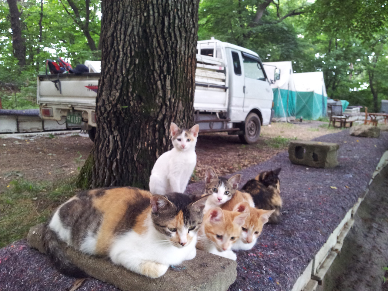 1374386722384 (1).jpg