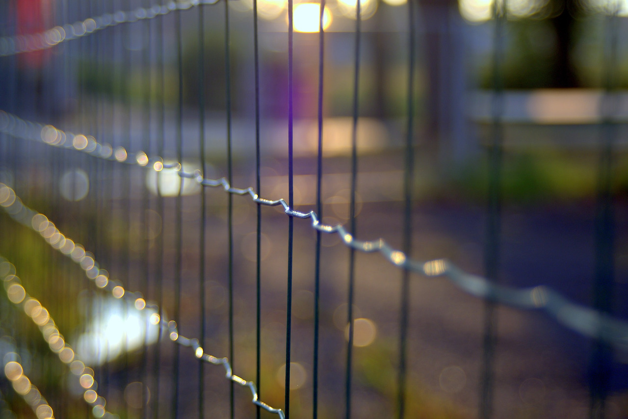 the-fence-1612939_1920.jpg