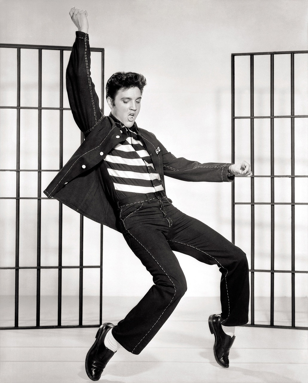 elvis-937614_1280.jpg