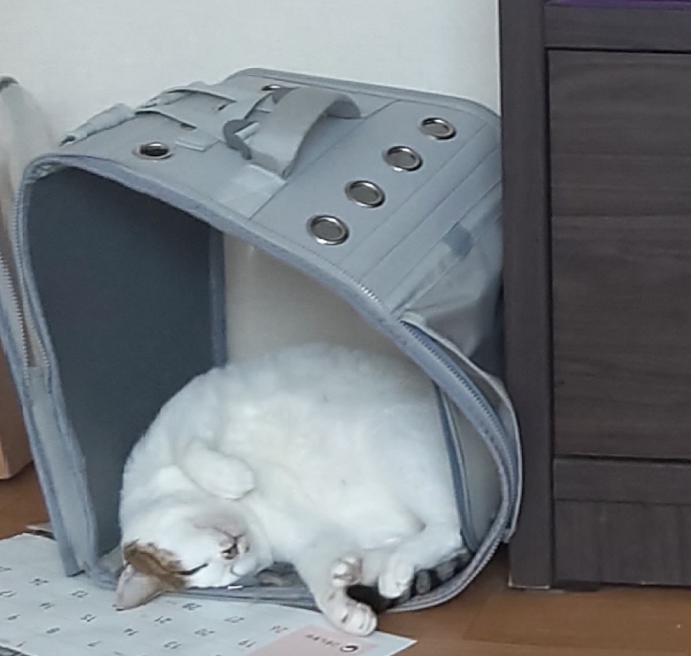 행복_이동장 사용법.jpg