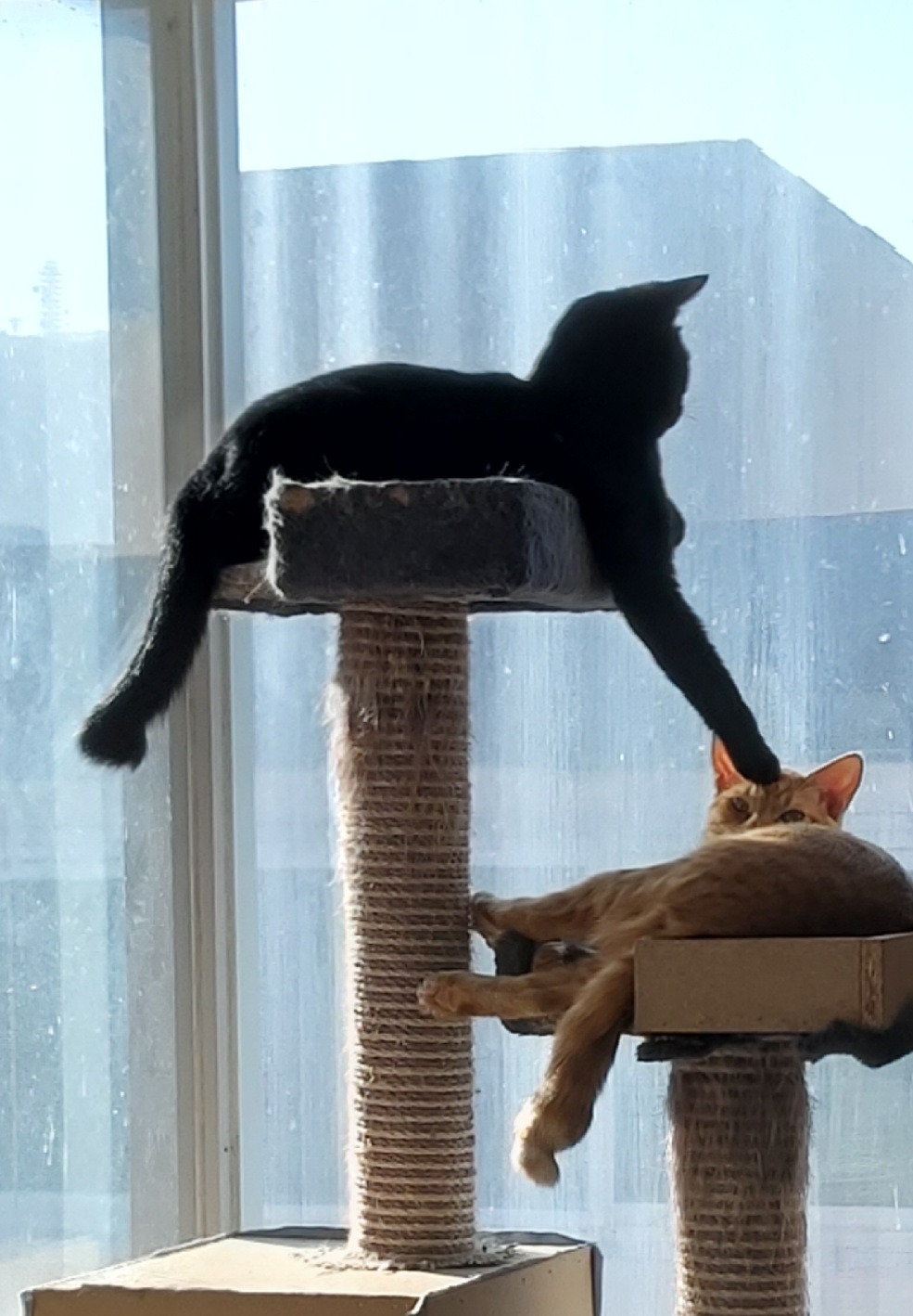 노아와 레오_눈 깔아.jpg