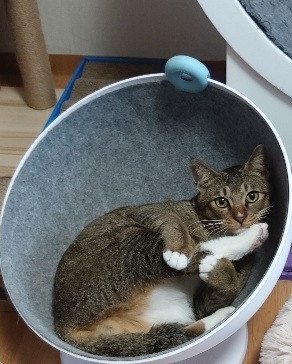 누리_꼬순내 소중해.jpg