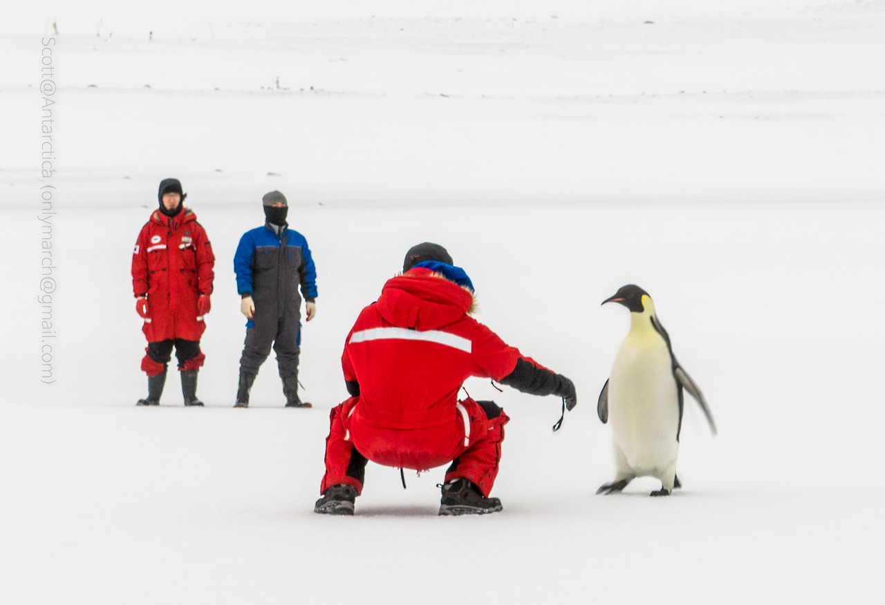 20220808-DJI_0157-HDR-3992 x 2992@Scott.jpg