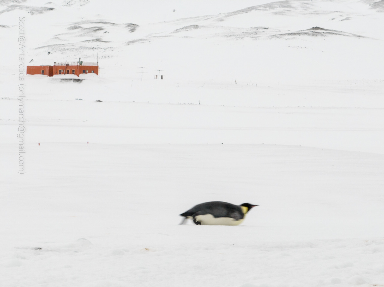 20220808-DJI_0285-3992 x 2992@Scott.jpg