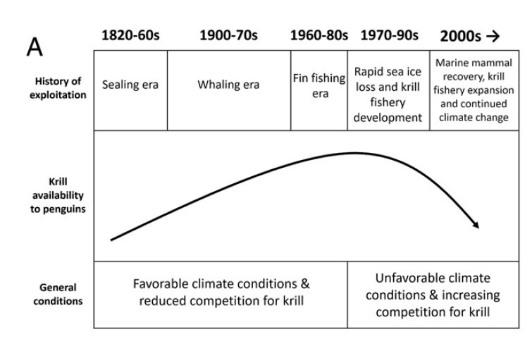 크릴개체수 .jpg