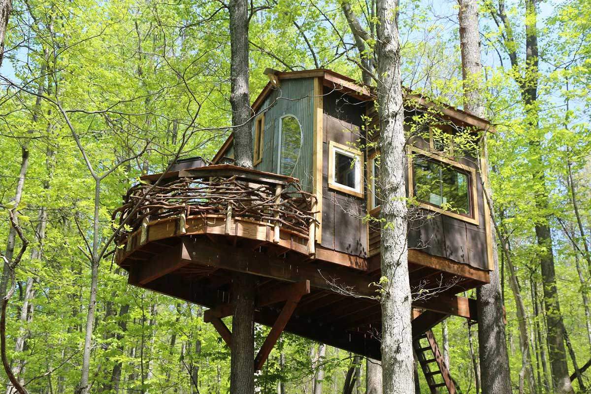 trillium-treehouse.jpg