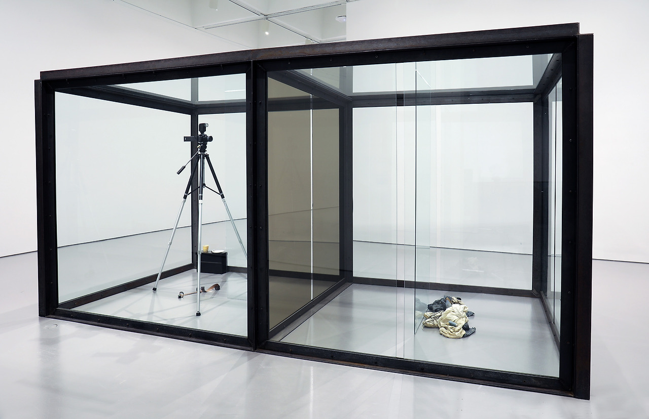 Damien Hirst, The Asthmatic Escaped II (1992).jpg