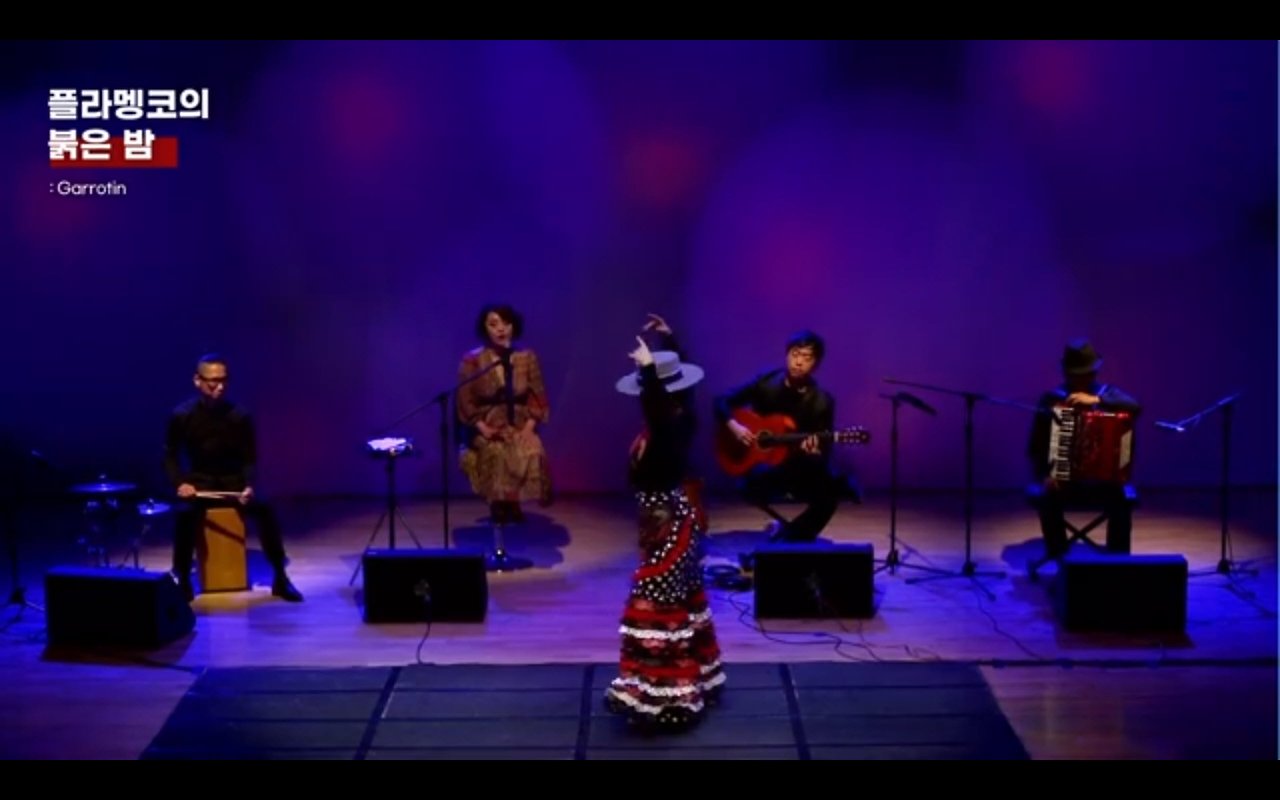 플라멩코의 붉은밤3.jpg