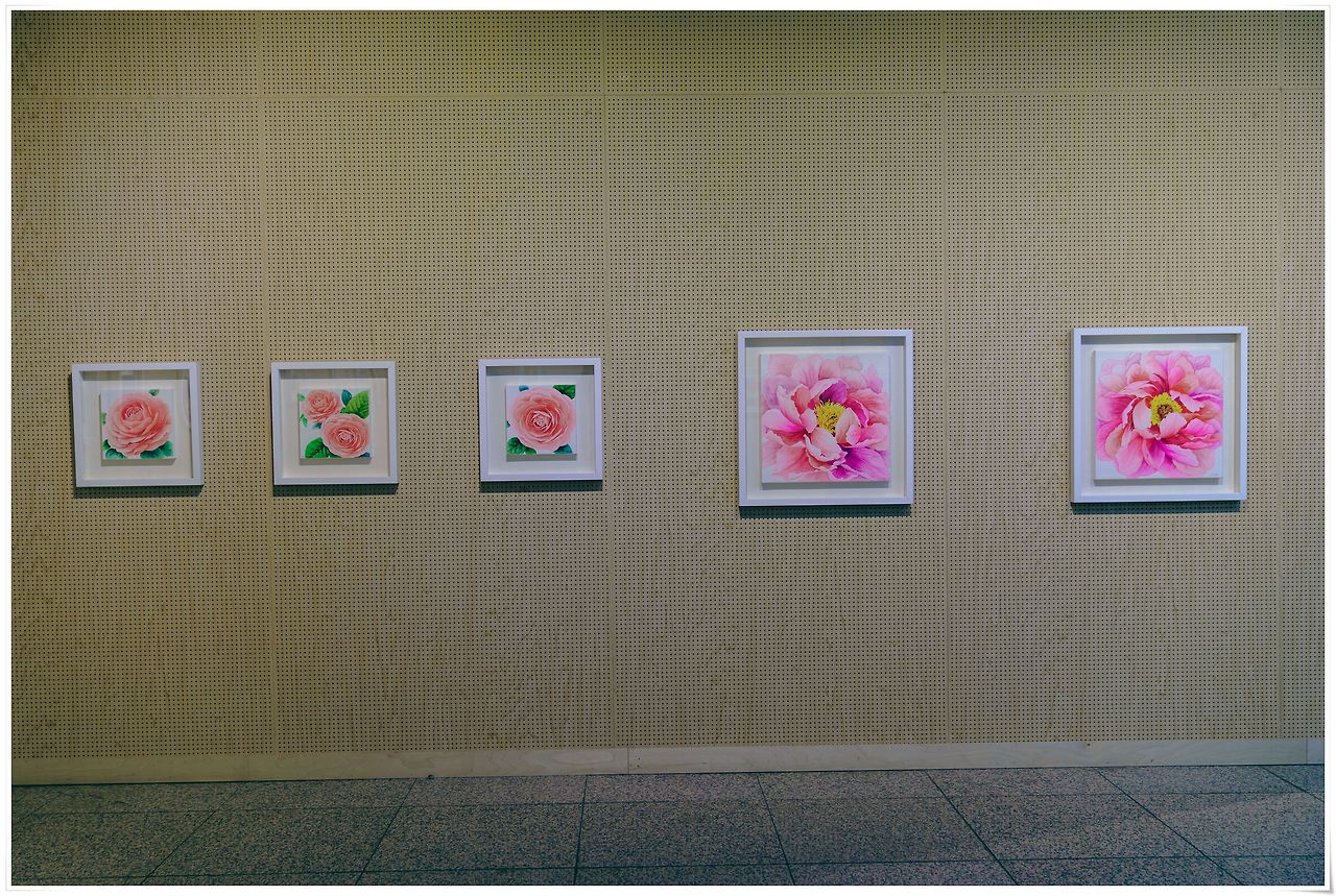 인화_2021-11-27 16-54-24-DSC08167.jpg